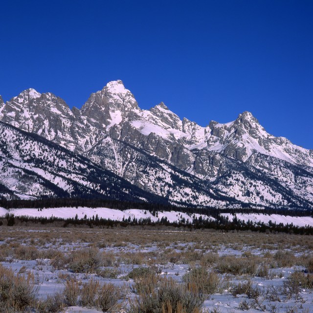 Grand Tetons and Sage Brush