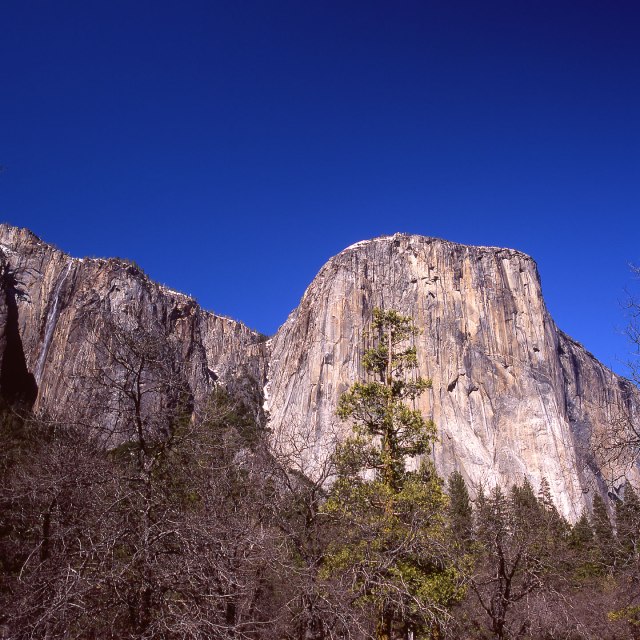 El Capitan and Waterfall
