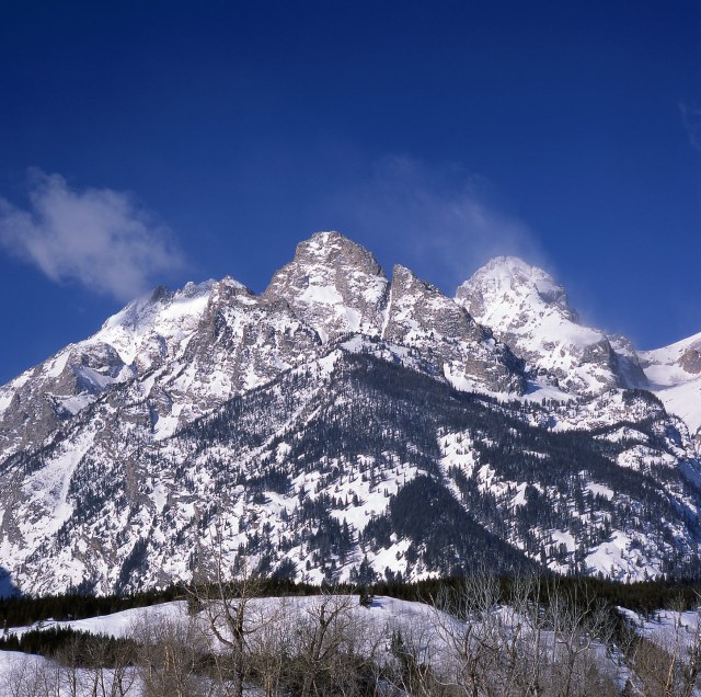 Tetons-Study 1