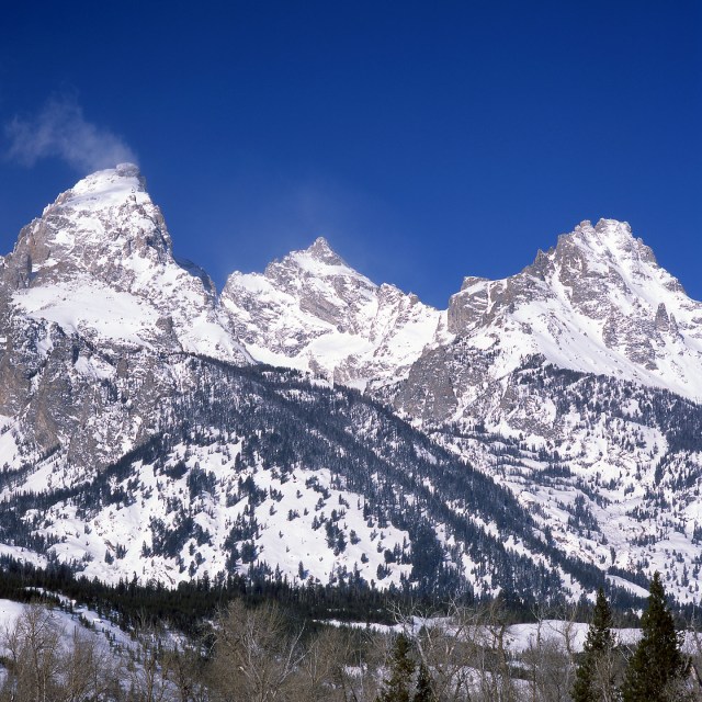 Tetons-Study 2